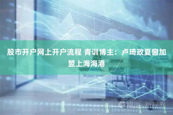 股市开户网上开户流程 青训博主：卢琦政夏窗加盟上海海港